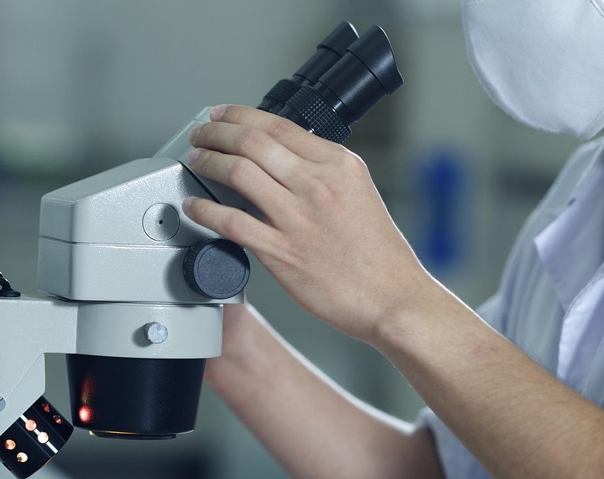 Dampak Pemantauan Keuangan Negara oleh Bea Cukai Padang Panjang terhadap Penerimaan Negara