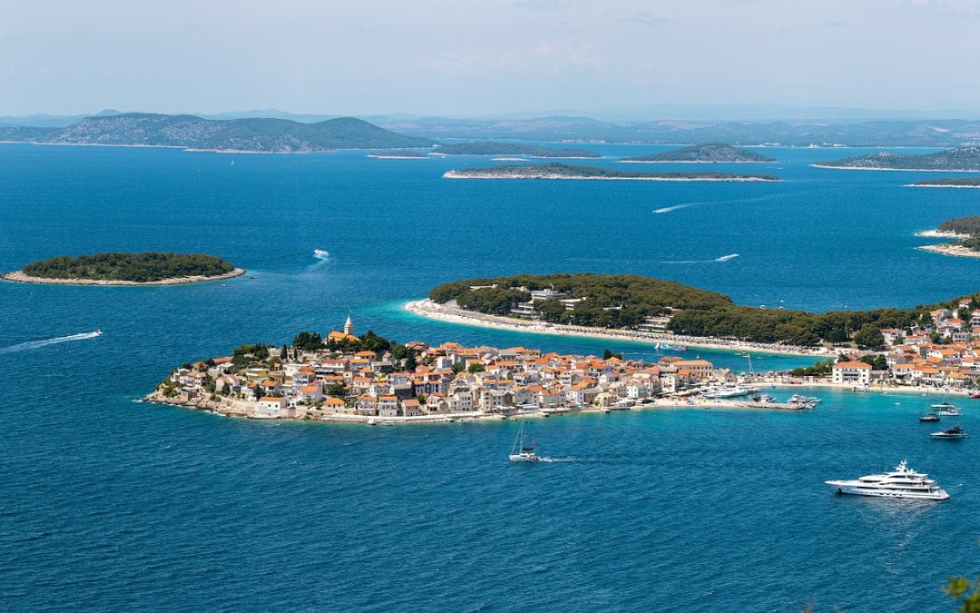 Sinergi Antara Bea Cukai dan Pelaku Usaha PLB